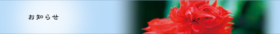 お知らせ