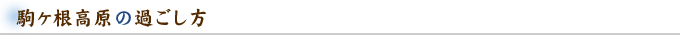 駒ヶ根高原の過ごし方