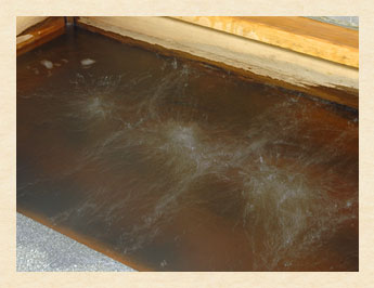 漢方の薬湯写真